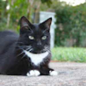 Meet your Posher, Jasmine